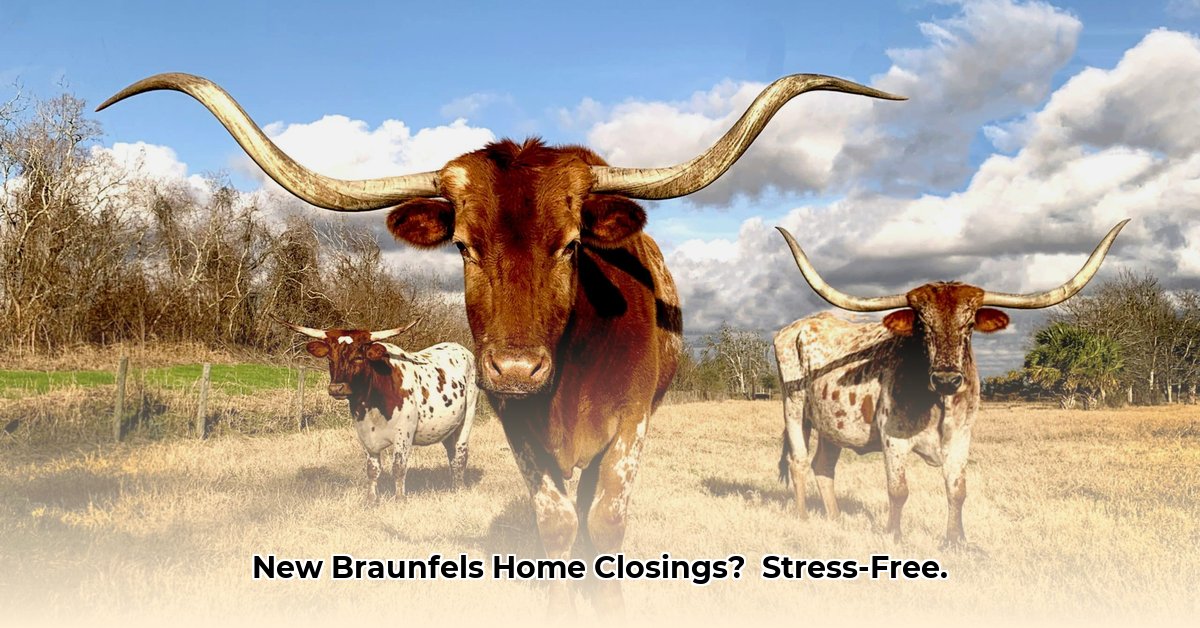 independence-title-new-braunfels-tx